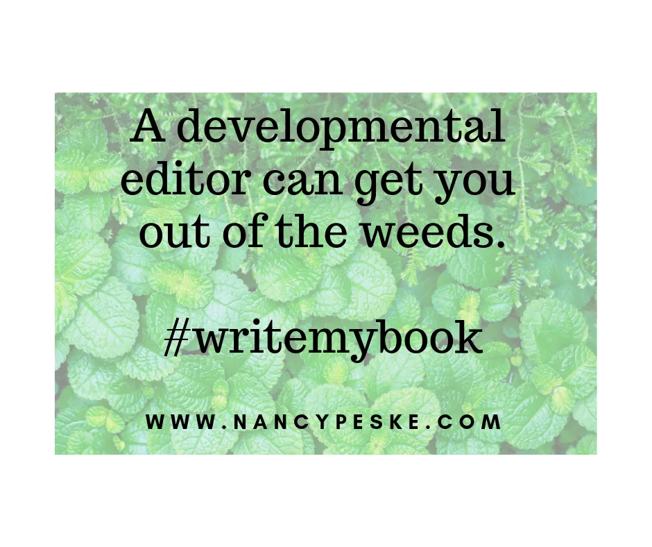 developmental editor can get you out of the weeds and structuring chapters in a self-help or how to book