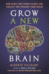 Grow a New Brain Grow a New Brain Book Jacket