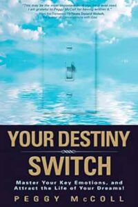 Your Destiny Switch - book jacket Your Destiny Switch - book jacket